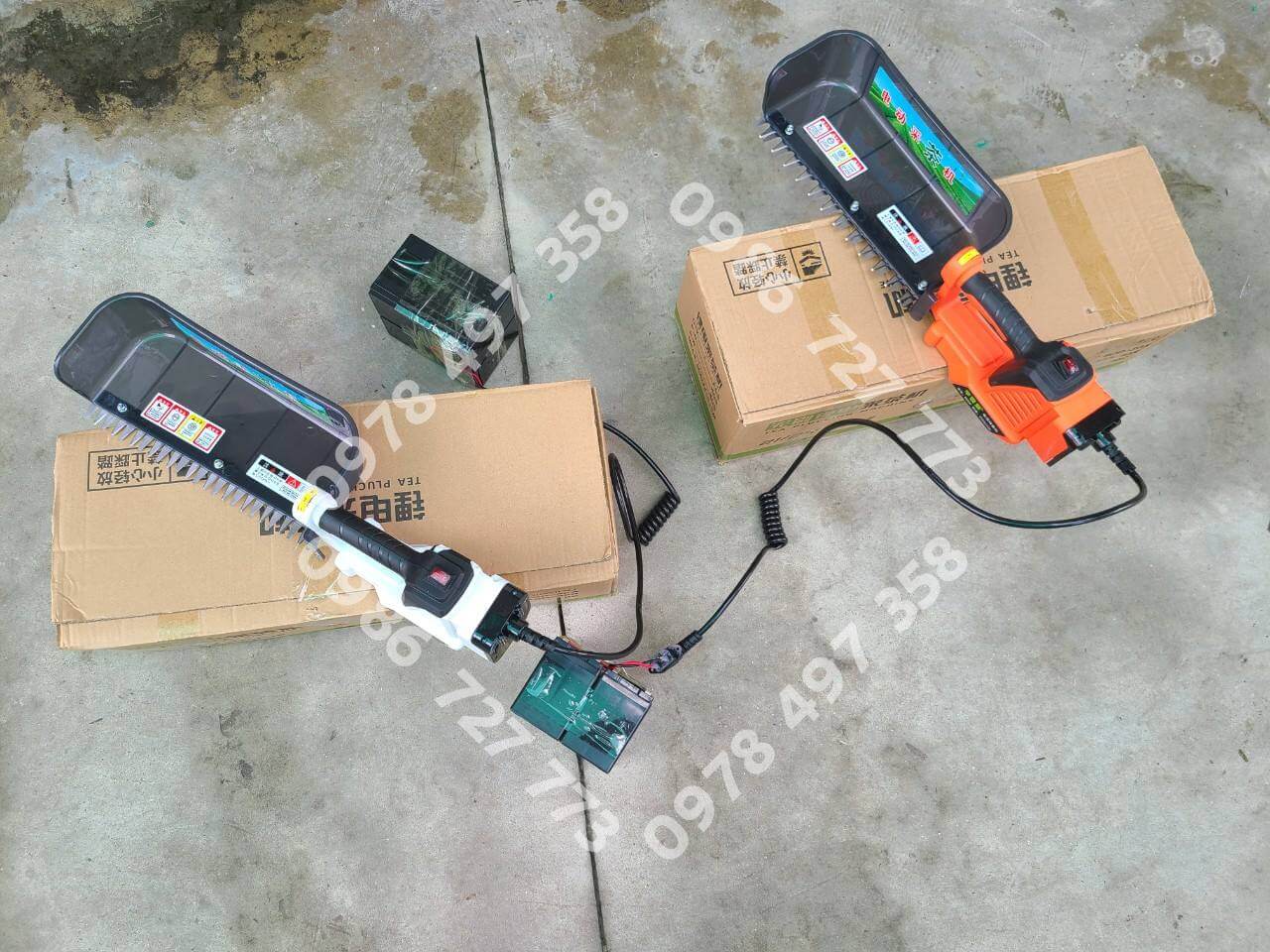 Máy hái chè mẫu mới 2024, 12 răng, dùng được cả Pin Gài lẫn ắc quy