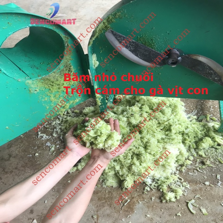 Bán rời khung máy băm chuối mịn không động cơ