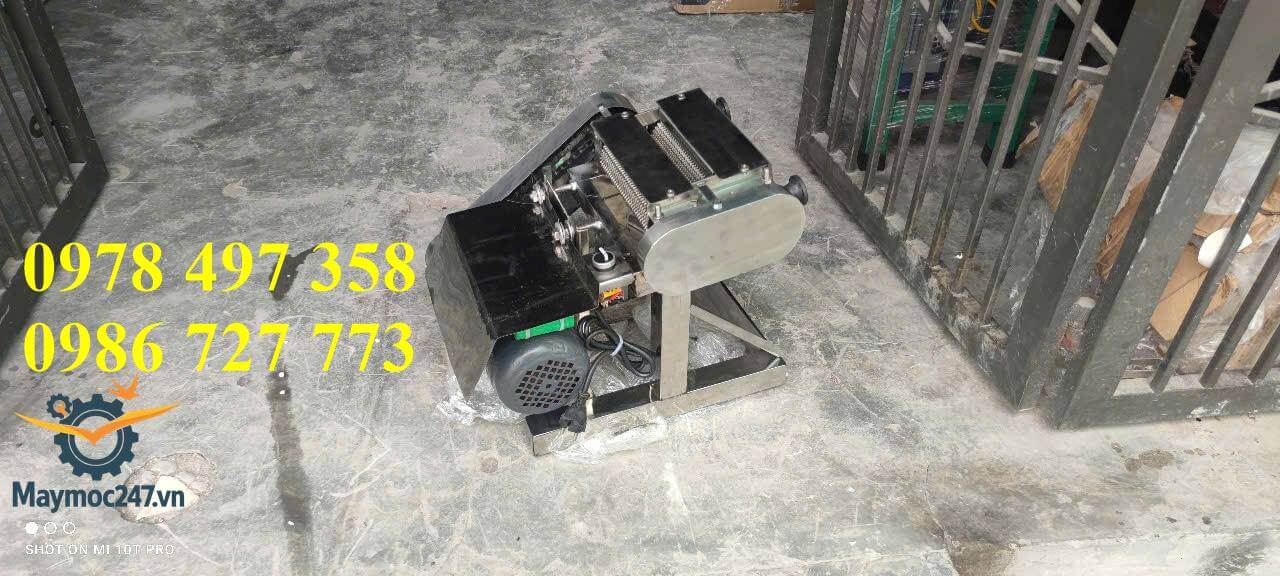 Máy cán khô mực, cán thịt, dầm thịt đa năng 2 lô, motor 200W