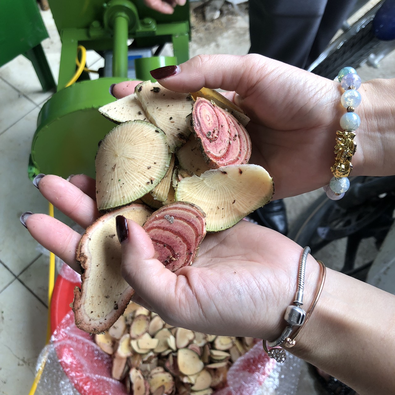 Máy thái thuốc nam, dược liệu công suất 2.2kw Sencomart