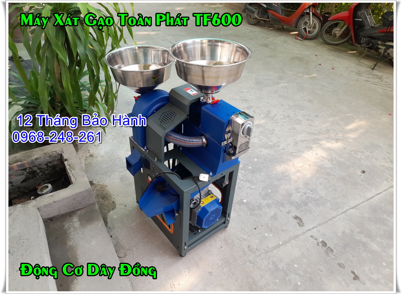 Máy xát gạo, xay cám, lọc sạn inox TF600 thương hiệu toàn phát