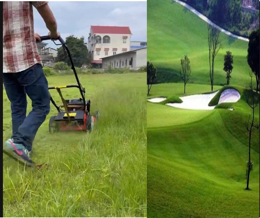 Máy cắt cỏ sân golf tự hành lưỡi kép Yamaha SC510