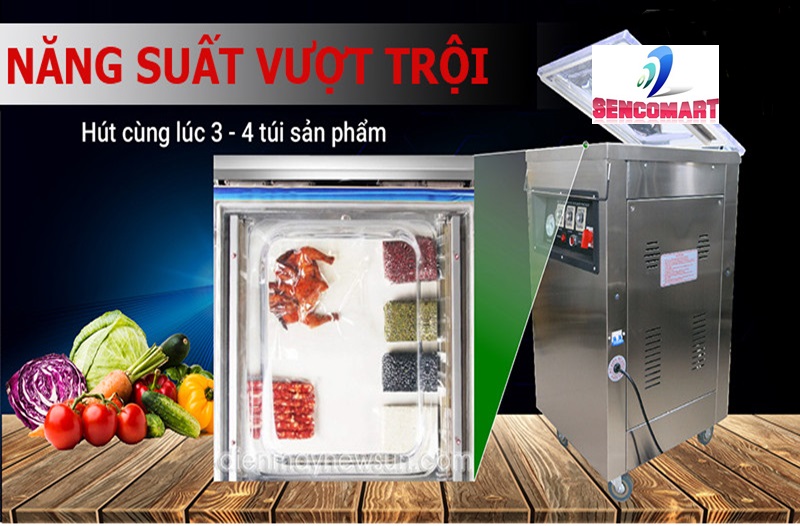 Máy Hút Chân Không DZQ 400 Hàng Công Nghiệp