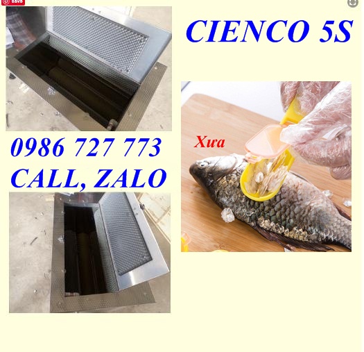 Máy đánh vảy cá 20kg/mẻ công suất 2,2kw Model 700