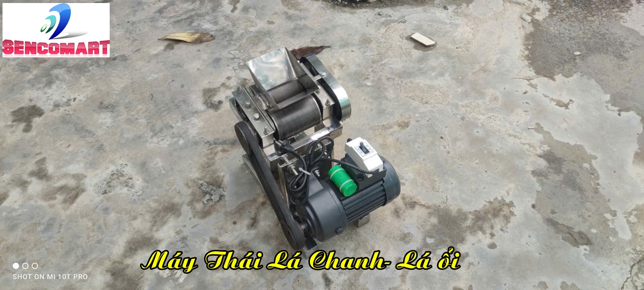 Máy Thái LÁ Chanh, làm bánh trung thu bánh chả chạy điện