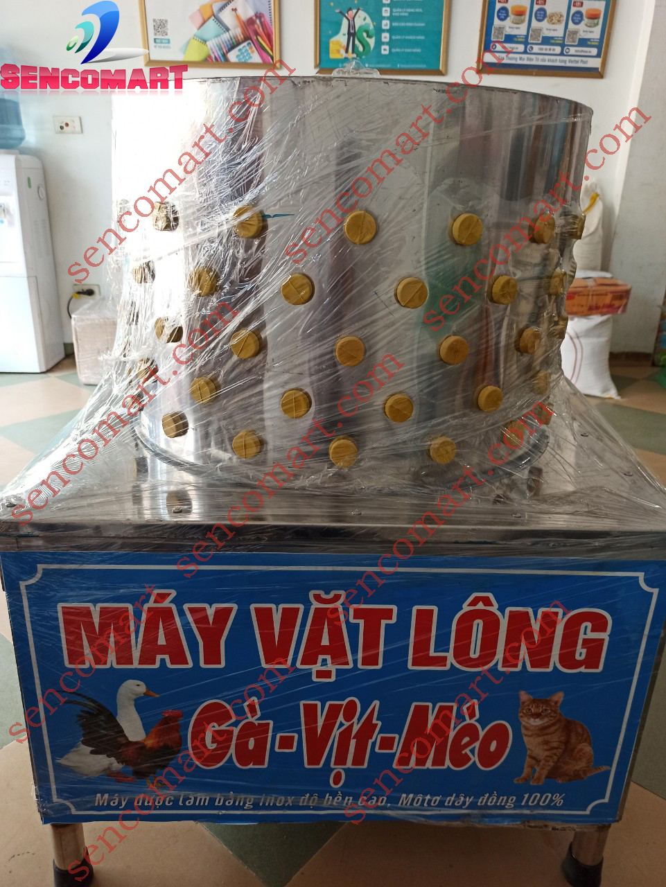 Máy vặt lông gà vịt Inox Phi 60