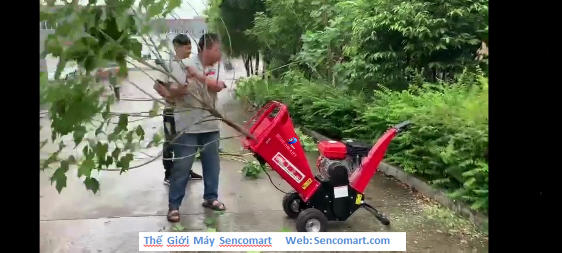 Máy băm cây chạy xăng 4 thì SENCO-BC7HP