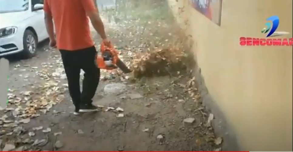 Máy thổi lá cầm tay Booyoung EB260 ( 2 Thì)