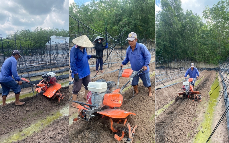 Máy xới đất Honda Thái Lan GX200 6,5HP