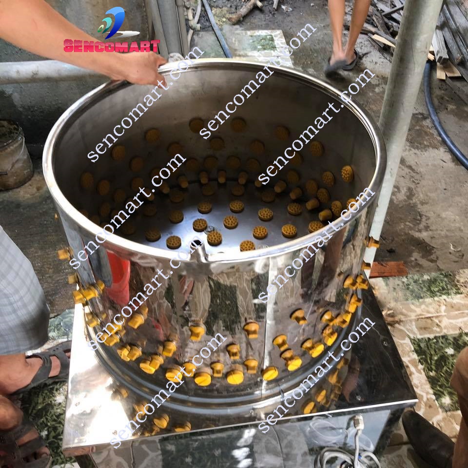 Máy Vặt Lông Chim Cút Siêu Nhanh- Máy Vặt Lông Chim Bồ Câu, Gà Ác hàng Việt Nam