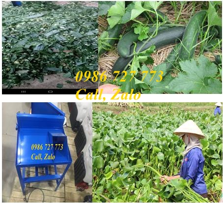 MÁY BĂM CỎ VOI- MÁY BĂM RAU, BÈO SENCO46