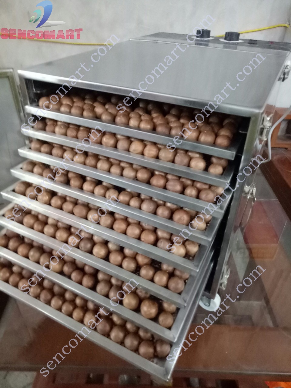 MÁY SẤY THỰC PHẨM 10 KHAY