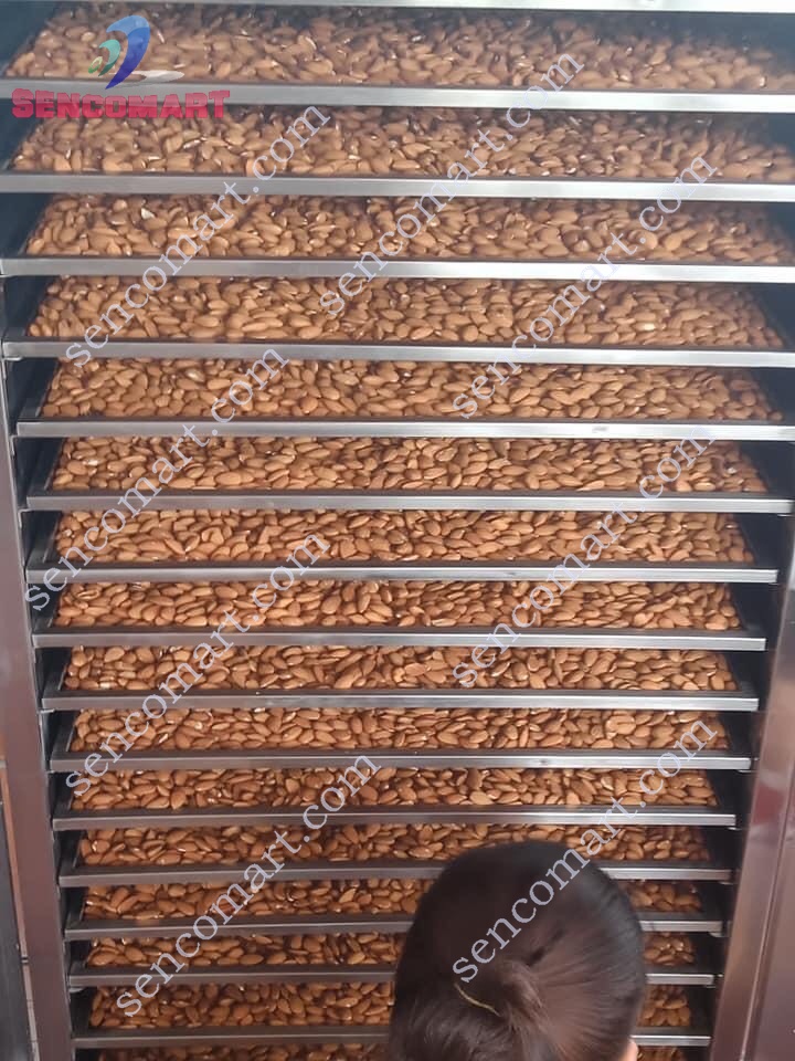 MÁY SẤY THỰC PHẨM MINI 20 KHAY